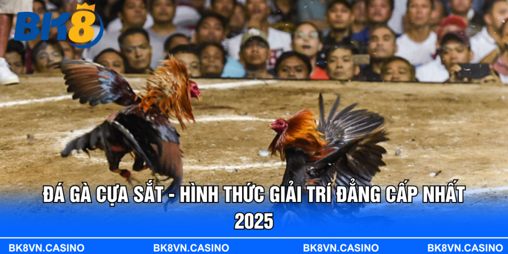Đá Gà Cựa Sắt - Hình Thức Giải Trí Đẳng Cấp Nhất 2025