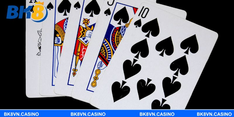 Game bài BK8 hội tụ nhiều trò chơi hấp dẫn